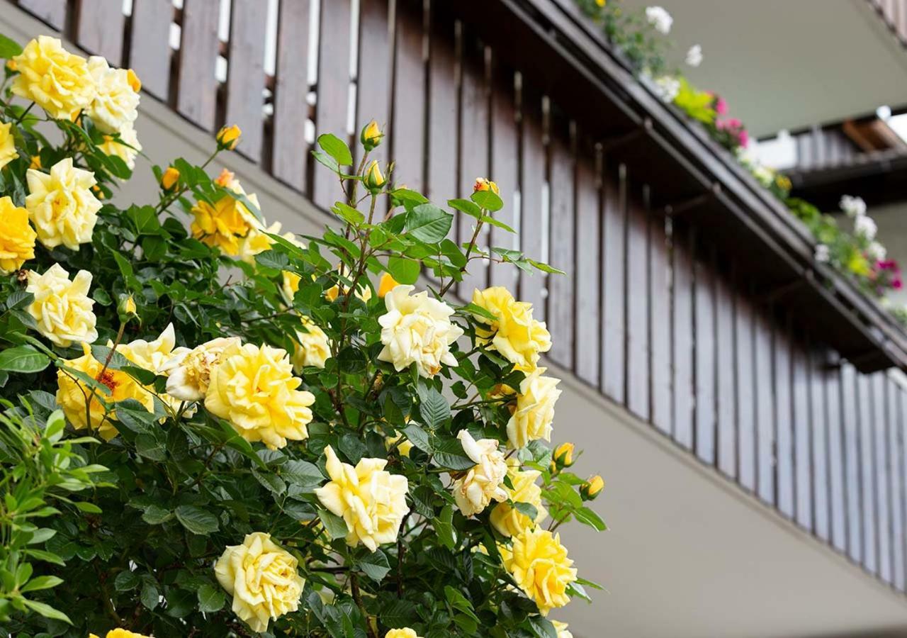 Appartement Karnutsch Schenna Dış mekan fotoğraf
